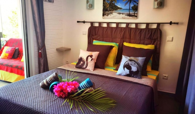 Appartement d'une chambre a Saint Francois a 500 m de la plage avec piscine privee terrasse et wifi
