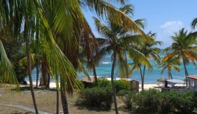Appartement face à la mer et plage à l'anse des rochers Guadeloupe