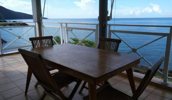 Bel appartement avec piscine, face à la mer