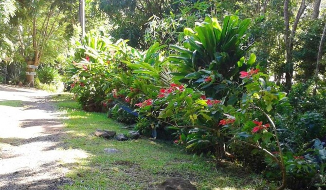 Bungalow d'une chambre avec jardin amenage et wifi a Pointe Noire