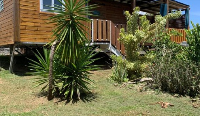 Gîte face à la mer des caraibes