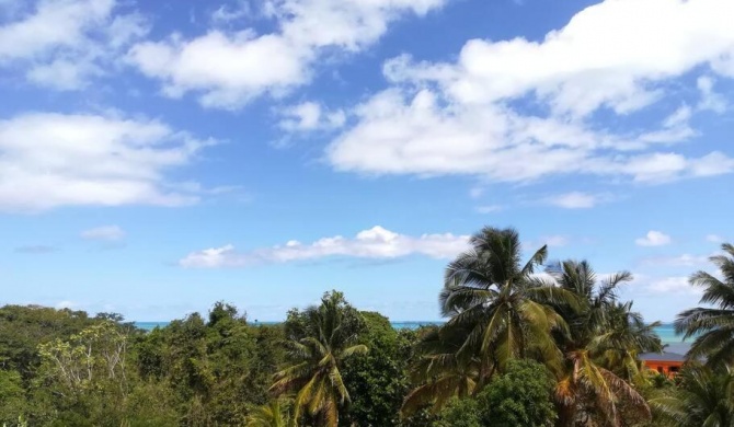 Haut de villa avec vue sur la mer