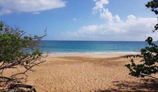 L'Aurielle, Tout le confort à 500m de la plage