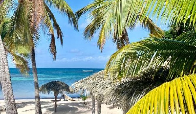 Le Ticolibri Anse des Rochers villa hibiscus