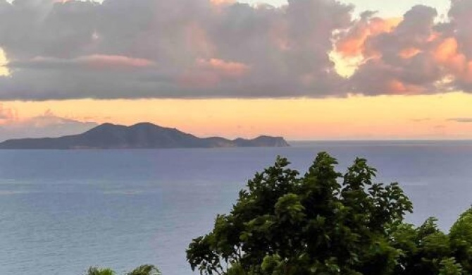 Papaye Lodge sur les flancs des Monts Caraïbes