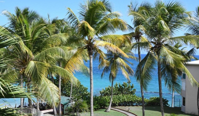 Résidence La Vieille Tour - ZENITUDE - Grand studio vue mer accès plage privative