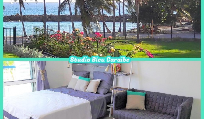 Studio Bleu Caraibe