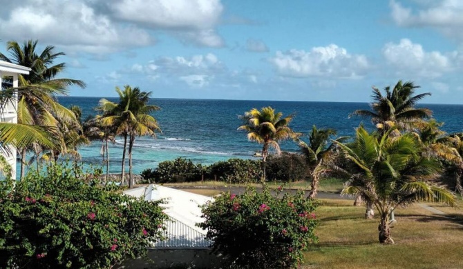 Studio large vue mer, plage & piscine XXL Saint-François Guadeloupe