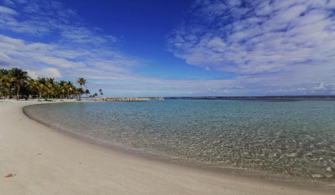 T2 Tagua - SAINTE-ANNE Centre - accès plage à pied