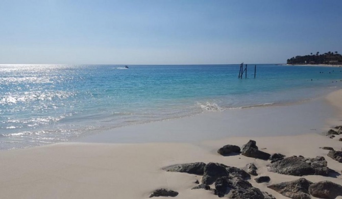 Ocean Front Property - Villa 1 Aruba