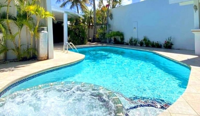 Private Luxury Villa Palm Beach
