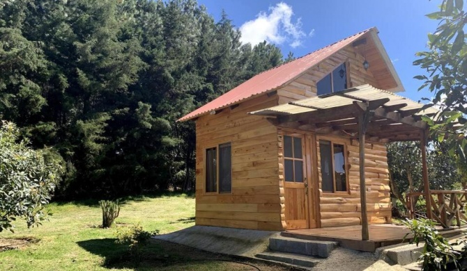 Charming cabin surrounded by nature