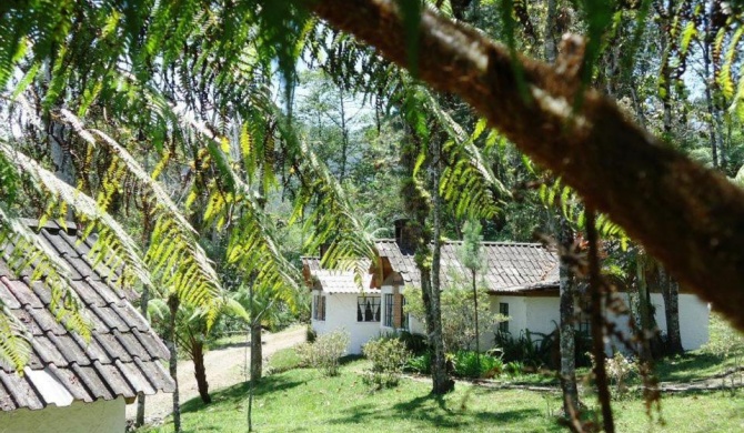 Posada Montaña del Quetzal