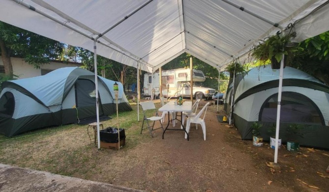 5 MINUTES WALK TO BIOLUMINESCENT BAY CAMP-BnB STAY IN VIEQUES FOR - IS NOT HOTEL - FAMILY HOSPITALITY - FULLY EQUIPPED-BED-LINENS-TOWEL TENTS RENTAL - BATHROOM SPARKLES - ACEPTING VISA AND MC-PREFER CASH -ALSO WE HELP TO COORDINATE TOURS-TRANSPORTATION