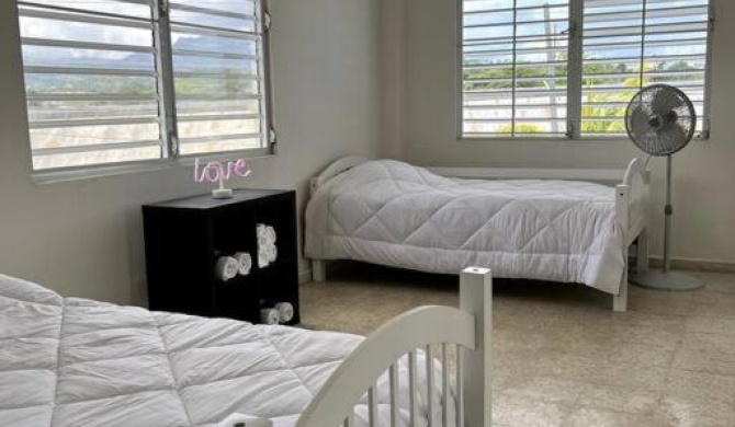 Eco Friendly Beach House In Luquillo Beach Town