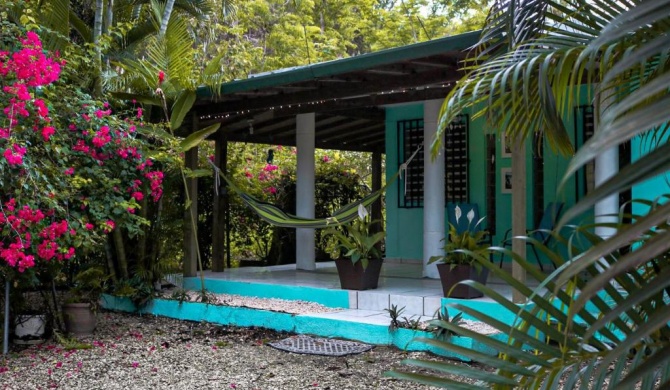 Rincón Blu Tropical House
