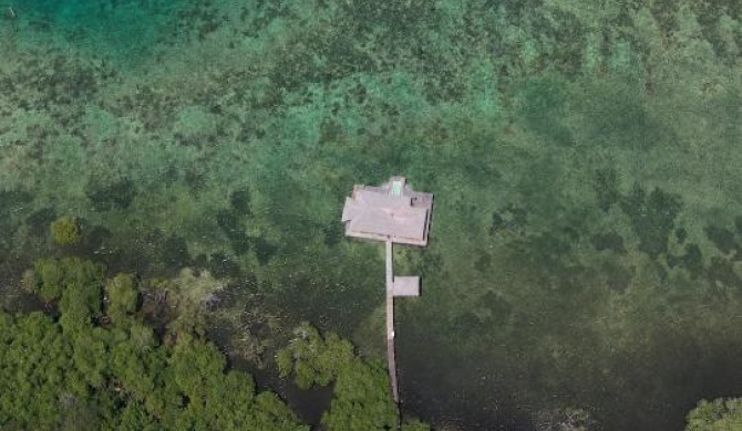Eco-Lodge Bocas Coral Reef - Over water villa & birds house