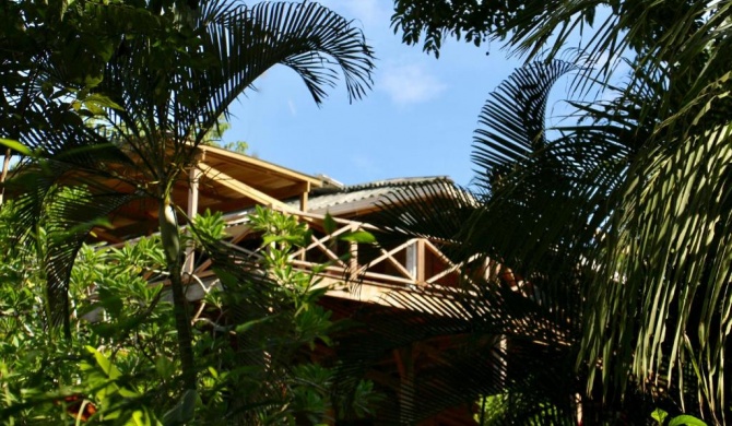 Eden Jungle Lodge