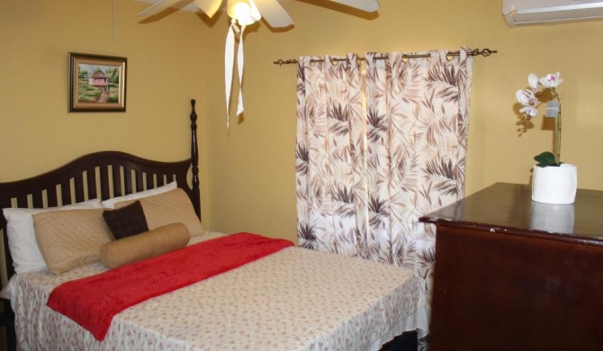 Cozy Deluxe 2BR Condo New Kingston