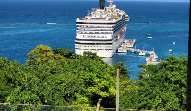 Cruise Ship View, Sky Castles, Columbus Heights