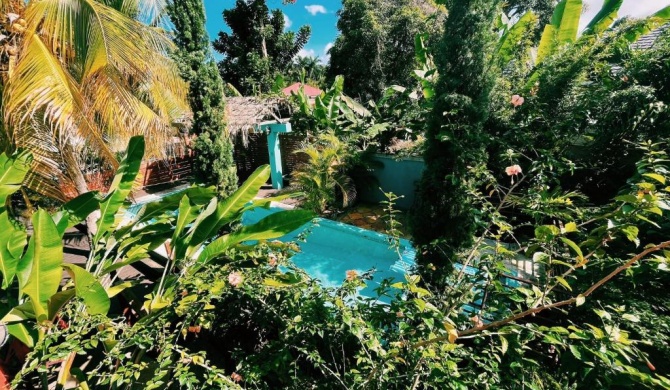 Hidden Gem @ White River Ocho Rios - Secluded Retreat for Two