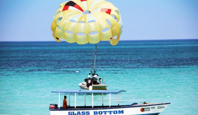 Negril Treehouse Resort