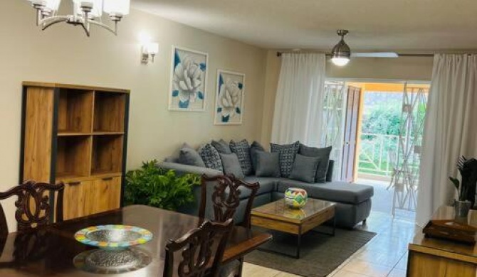 Newly renovated, comfy 2 BR/ 2BA Apt in Kingston