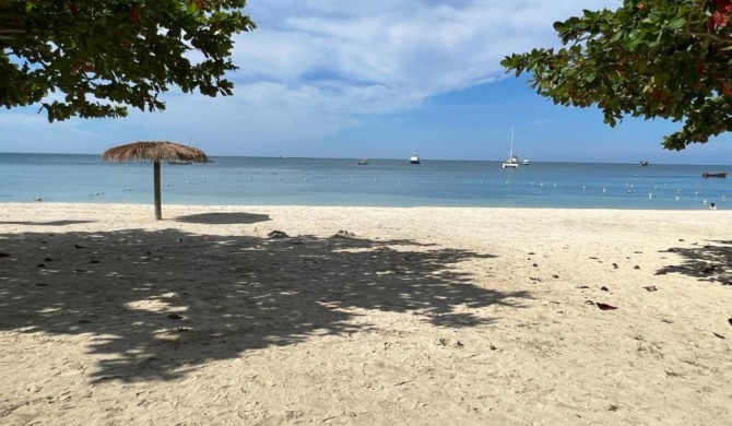 Oceanview King Suite in Jamaica - Enjoy 7 miles of White Sand Beach! villa