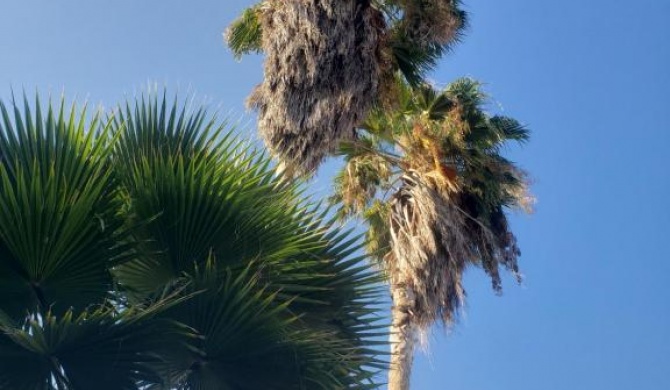 Sea Shell Palms, Ocho Rios