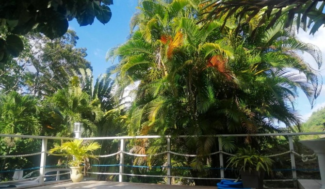 Appartement de 2 chambres avec piscine partagee jardin amenage et wifi a Riviere Pilote a 3 km de la plageB
