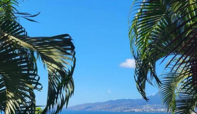 Appartement vue mer. Anse à l'âne. Trois ilets