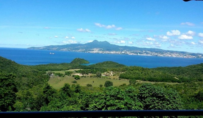 Bleu topaze - vue imprenable - Les Anses d'Arlet