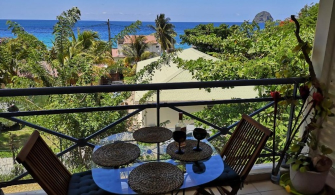 Le chant du Diamant calme vue mer et plage à 50 m