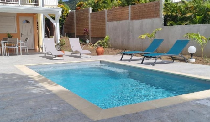 972A - Magnifique rez-de-chaussée avec piscine privative