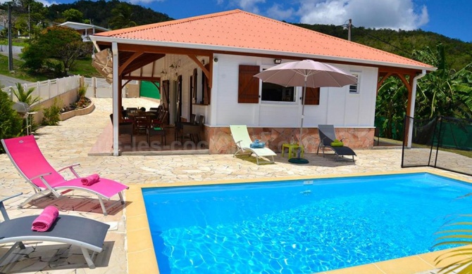Magnifique Villa climatisée, piscine et jardin à 5mn de la plage