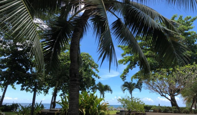 MON PETIT COIN DE PARADIS A 500 m DE LA PLAGE