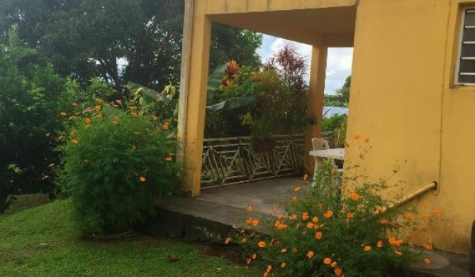 Studio avec jardin clos et wifi a La Trinite a 9 km de la plage