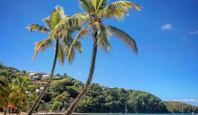 Superbe Appart T2 de standing, à l'Anse à l'âne, à 5mn à pied des plages