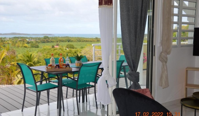 Villa de 2 chambres avec vue sur la mer piscine privee et jardin amenage a Le Francois a 8 km de la plage