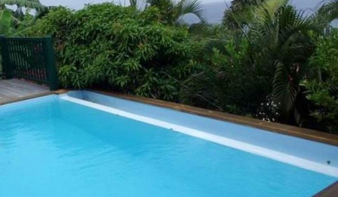 Villa de 2 chambres avec vue sur la mer piscine privee et jardin clos a Les Anses d'Arlet