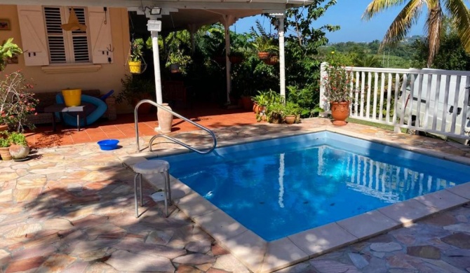 Villa de 3 chambres avec piscine privee jardin clos et wifi a Le Francois