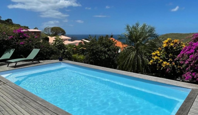 Villa de charme avec piscine et magnifique vue mer