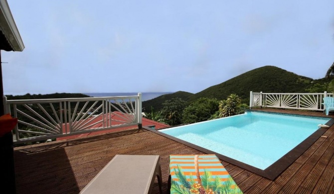 Villa Palmier rouge : 3 ch, piscine à débordement, vue mer et végétation