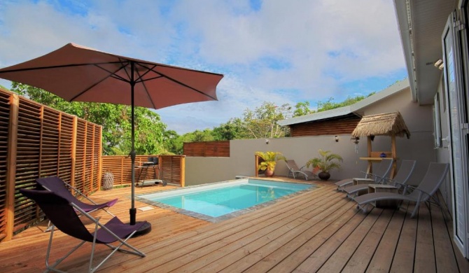 Villa with private pool MQDI53
