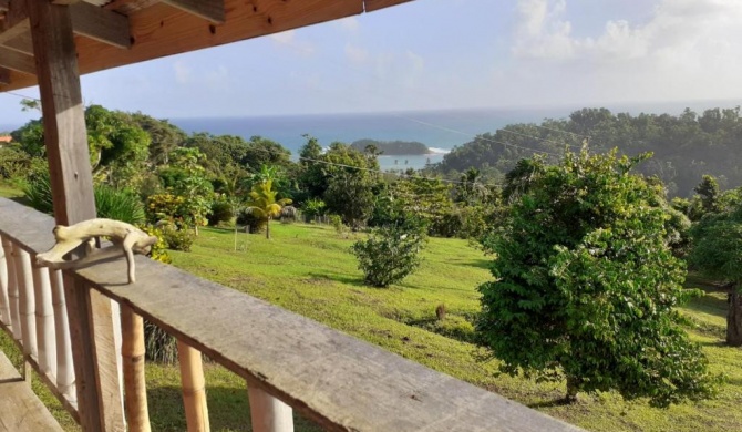 Jungle Bay Dominica